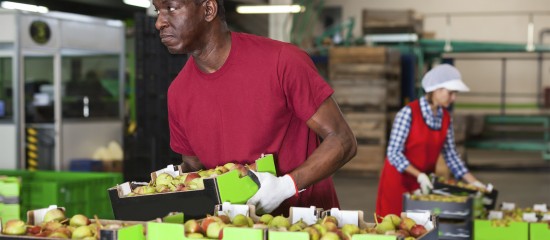 Exonération de cotisations sociales en cas d’embauche de travailleurs agricoles occasionnels