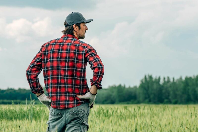 Exploitants agricoles : le dispositif des prêts de consolidation est opérationnel
