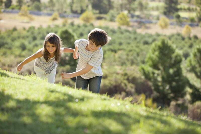 Succession entre frères et sœurs : l’exonération s’applique-t-elle en cas de Pacs ?