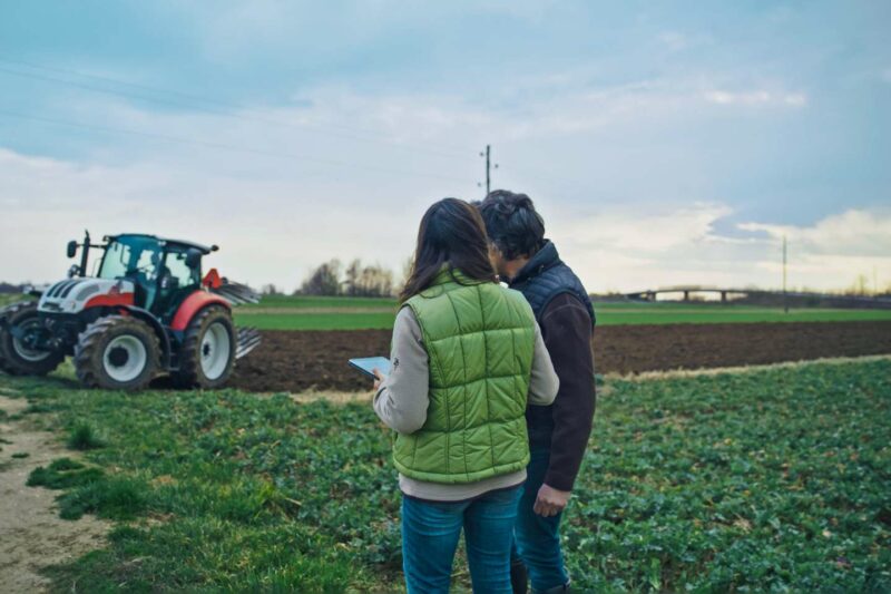 Rétrocession de parcelles agricoles par la Safer : gare à la date de dépôt des candidatures !