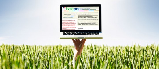 Exploitants agricoles : les modalités d’accès à Telepac sont simplifiées