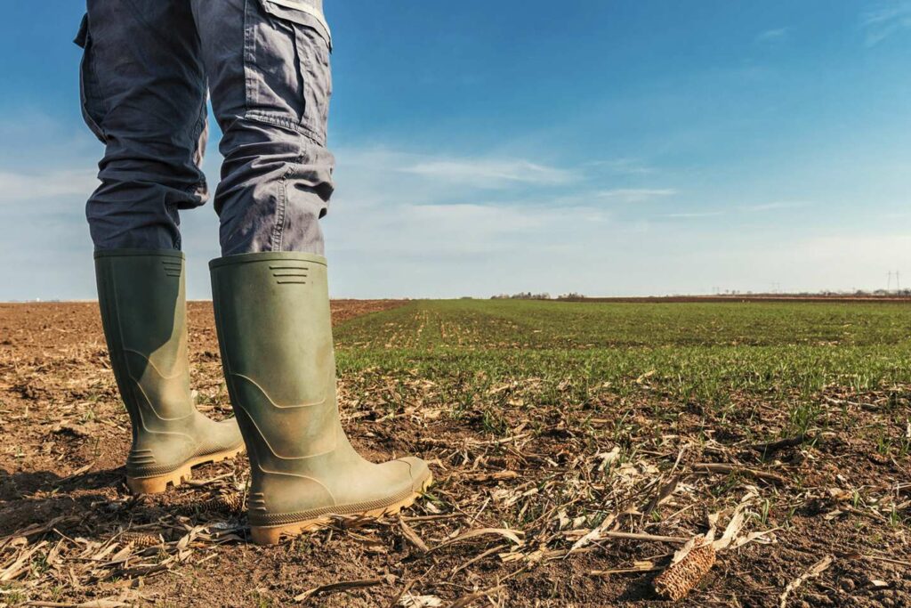 Un train de mesures fiscales pour le secteur agricole