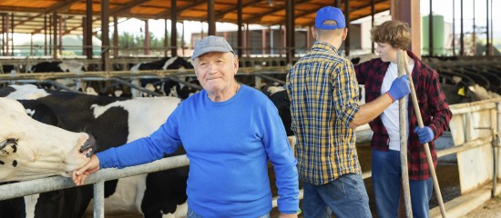 Décès d’un non-salarié agricole : un capital décès pour ses ayants droit