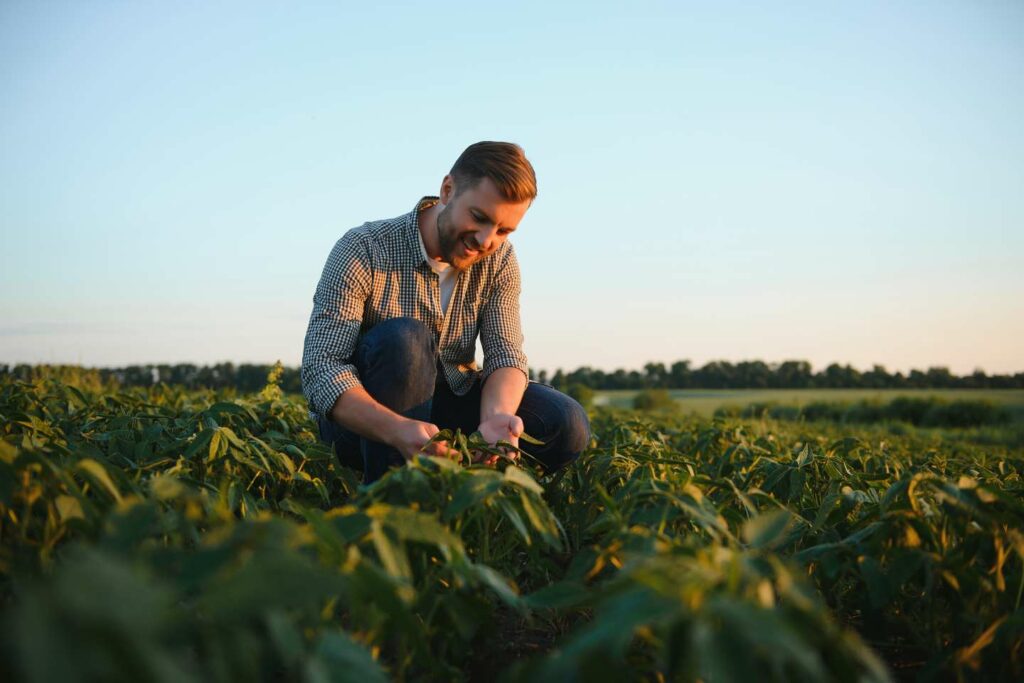 Exploitants agricoles : renforcement de la déduction pour épargne de précaution