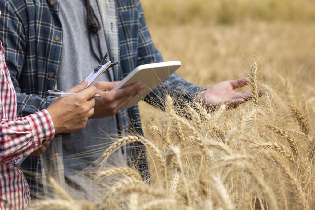 Non-salariés agricoles : des cotisations dues pour une année entière